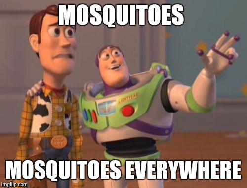 Hanging out at the lake at night? Prepare for: | MOSQUITOES; MOSQUITOES EVERYWHERE | image tagged in memes,x x everywhere | made w/ Imgflip meme maker