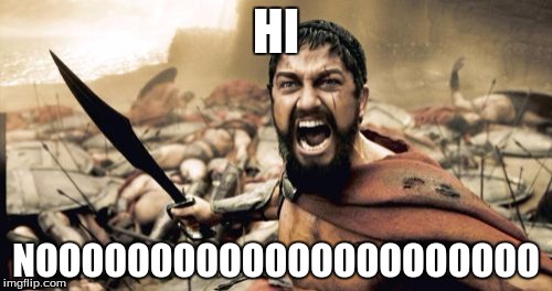 Sparta Leonidas | HI; NOOOOOOOOOOOOOOOOOOOOOO | image tagged in memes,sparta leonidas | made w/ Imgflip meme maker