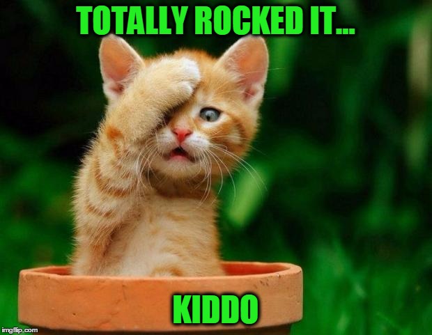 Cat fail | TOTALLY ROCKED IT... KIDDO | image tagged in cat fail | made w/ Imgflip meme maker