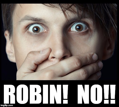 oh my | ROBIN!  NO!! | image tagged in oh my | made w/ Imgflip meme maker