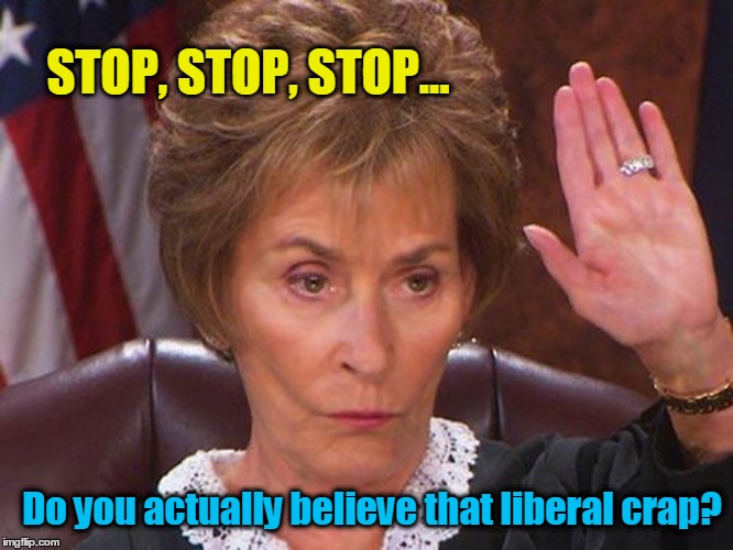 Judge Judy: STOP! You believe liberal crap? | STOP, STOP, STOP... Do you actually believe that liberal crap? | image tagged in liberal crap,judge judy stop! | made w/ Imgflip meme maker