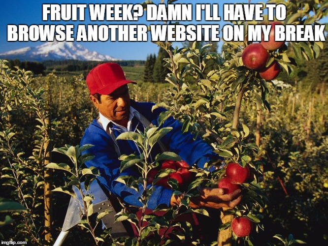 Working a fruit related job on fruit week | FRUIT WEEK? DAMN I'LL HAVE TO BROWSE ANOTHER WEBSITE ON MY BREAK | image tagged in fruit week,fruits,memes,imgflip,imgflip users | made w/ Imgflip meme maker