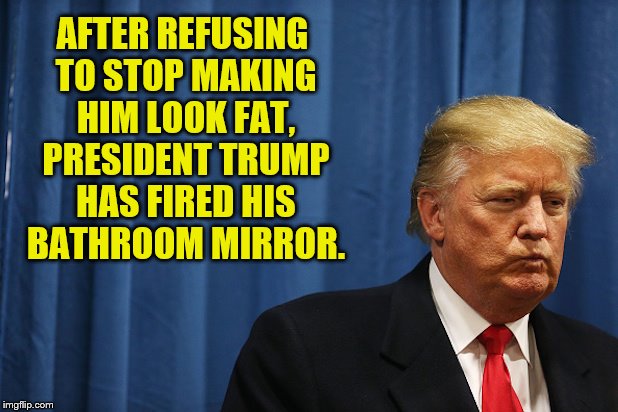 The Purge Of His Enemies Continues. | AFTER REFUSING TO STOP MAKING HIM LOOK FAT, PRESIDENT TRUMP HAS FIRED HIS BATHROOM MIRROR. | image tagged in donald trump,bathroom mirror,purge,james comey,fat | made w/ Imgflip meme maker