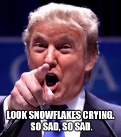 Trump Trademark | LOOK SNOWFLAKES CRYING.  SO SAD, SO SAD. | image tagged in trump trademark | made w/ Imgflip meme maker