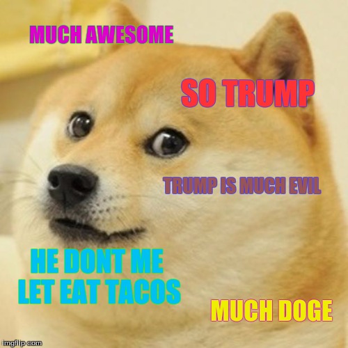 Doge Meme | MUCH AWESOME; SO TRUMP; TRUMP IS MUCH EVIL; HE DONT ME LET EAT TACOS; MUCH DOGE | image tagged in memes,doge | made w/ Imgflip meme maker