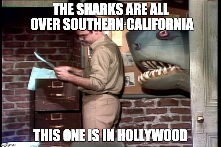 Land Shark  | THE SHARKS ARE ALL OVER SOUTHERN CALIFORNIA; THIS ONE IS IN HOLLYWOOD | image tagged in sharks,landshark,california | made w/ Imgflip meme maker