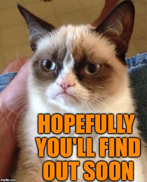 Grumpy Cat Meme | HOPEFULLY YOU'LL FIND OUT SOON | image tagged in memes,grumpy cat | made w/ Imgflip meme maker