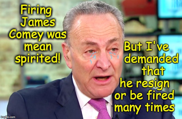crocodile tears  | But I've     demanded      that he resign or be fired many times; Firing James Comey was mean spirited! | image tagged in chuck schumer,fbi director james comey,crocodile tears | made w/ Imgflip meme maker