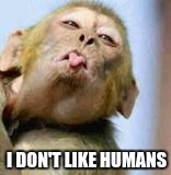 irreverent monkey | I DON'T LIKE HUMANS | image tagged in funny | made w/ Imgflip meme maker