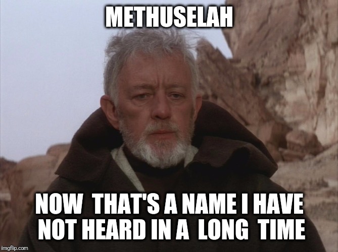 Obi Wan Thats a name Ive not heard in a long time a long time | METHUSELAH; NOW  THAT'S A NAME I HAVE NOT HEARD IN A  LONG  TIME | image tagged in obi wan thats a name ive not heard in a long time a long time,name,bible | made w/ Imgflip meme maker