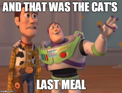 X, X Everywhere Meme | AND THAT WAS THE CAT'S LAST MEAL | image tagged in memes,x x everywhere | made w/ Imgflip meme maker