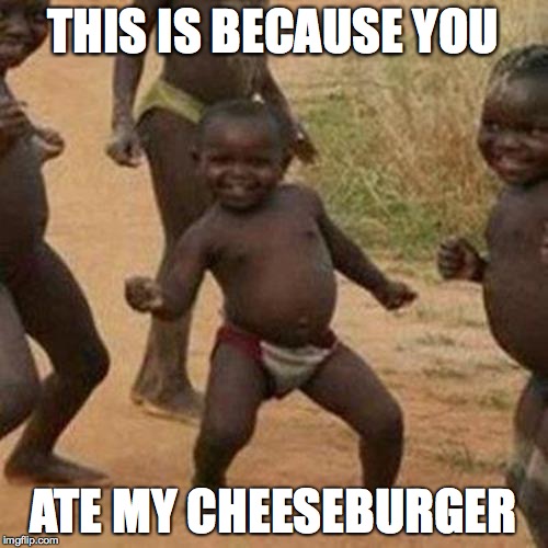 Third World Success Kid | THIS IS BECAUSE YOU; ATE MY CHEESEBURGER | image tagged in memes,third world success kid | made w/ Imgflip meme maker