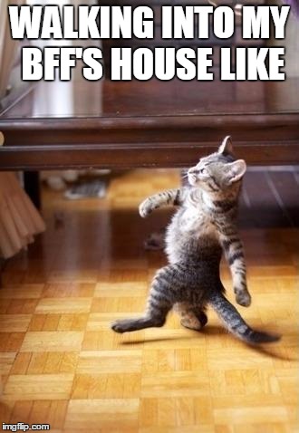 Cool Cat Stroll | WALKING INTO MY BFF'S HOUSE LIKE | image tagged in memes,cool cat stroll | made w/ Imgflip meme maker