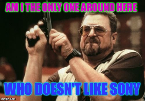 Am I The Only One Around Here | AM I THE ONLY ONE AROUND HERE; WHO DOESN'T LIKE SONY | image tagged in memes,am i the only one around here | made w/ Imgflip meme maker