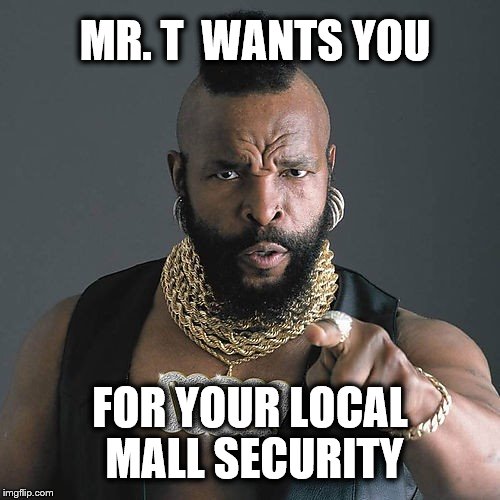 Mr T Pity The Fool Meme | MR. T  WANTS YOU; FOR YOUR LOCAL MALL SECURITY | image tagged in memes,mr t pity the fool | made w/ Imgflip meme maker
