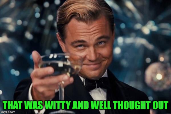 Leonardo Dicaprio Cheers Meme | THAT WAS WITTY AND WELL THOUGHT OUT | image tagged in memes,leonardo dicaprio cheers | made w/ Imgflip meme maker