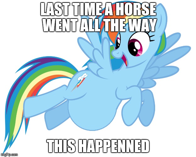 LAST TIME A HORSE WENT ALL THE WAY THIS HAPPENNED | made w/ Imgflip meme maker