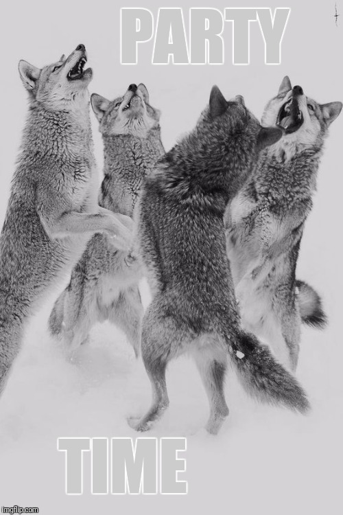 Wolf dance | PARTY TIME | image tagged in wolf dance | made w/ Imgflip meme maker