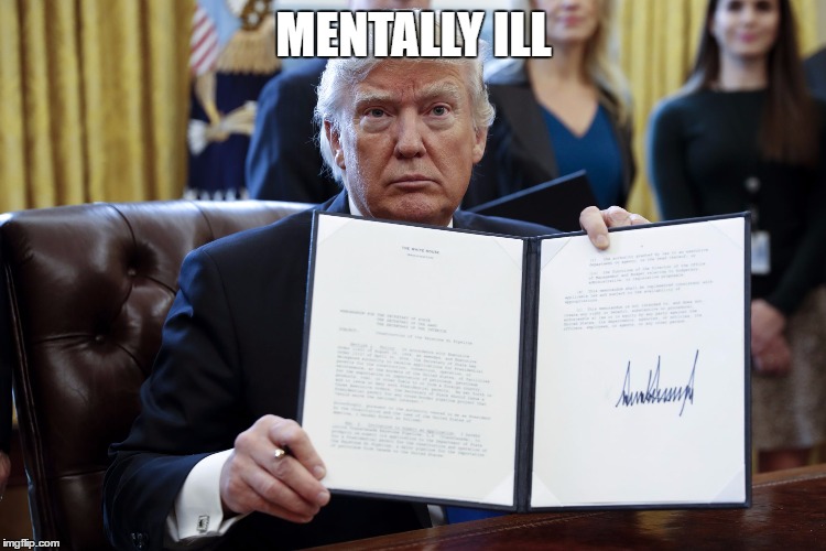 Donald Trump Executive Order | MENTALLY ILL | image tagged in donald trump executive order | made w/ Imgflip meme maker