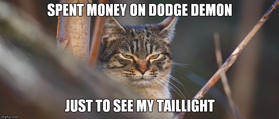 SPENT MONEY ON DODGE DEMON; JUST TO SEE MY TAILLIGHT | image tagged in ylookat | made w/ Imgflip meme maker