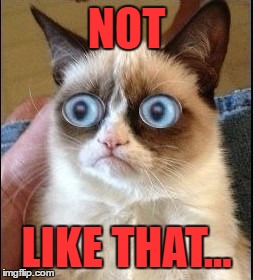 Grumpy Cat Shocked | NOT LIKE THAT... | image tagged in grumpy cat shocked | made w/ Imgflip meme maker