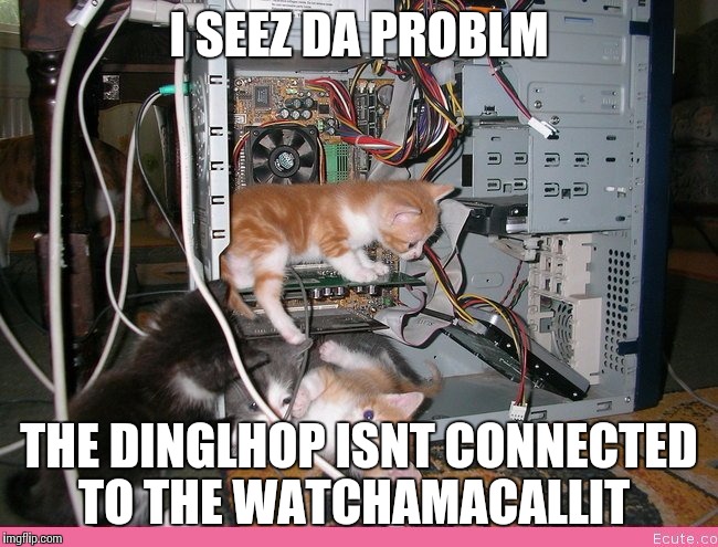 Kittens fixing a computer | I SEEZ DA PROBLM; THE DINGLHOP ISNT CONNECTED TO THE WATCHAMACALLIT | image tagged in kittens fixing a computer | made w/ Imgflip meme maker