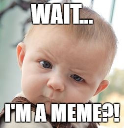 Skeptical Baby Meme | WAIT... I'M A MEME?! | image tagged in memes,skeptical baby | made w/ Imgflip meme maker