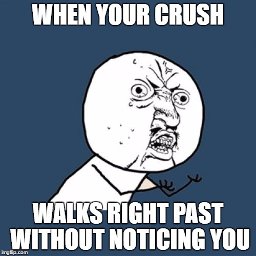Y U No Meme | WHEN YOUR CRUSH; WALKS RIGHT PAST WITHOUT NOTICING YOU | image tagged in memes,y u no | made w/ Imgflip meme maker
