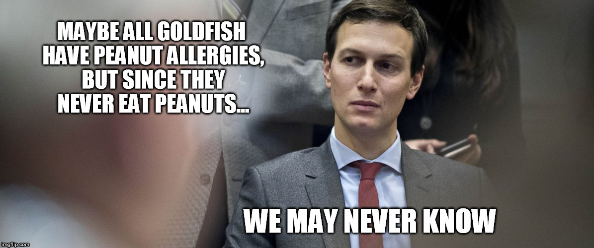 Kushner Thinking - goldfish | MAYBE ALL GOLDFISH HAVE PEANUT ALLERGIES, BUT SINCE THEY NEVER EAT PEANUTS... WE MAY NEVER KNOW | image tagged in kushner thinking | made w/ Imgflip meme maker