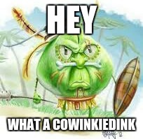 Savage Cabbage | HEY; WHAT A COWINKIEDINK | image tagged in savage cabbage | made w/ Imgflip meme maker