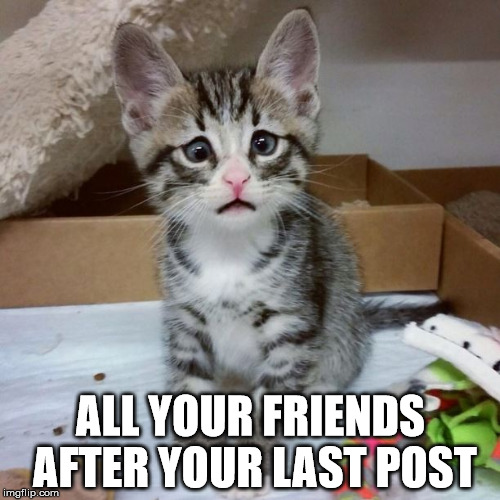 Worried Kitten | ALL YOUR FRIENDS AFTER YOUR LAST POST | image tagged in worried kitten | made w/ Imgflip meme maker