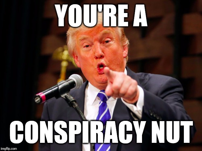 trump point | YOU'RE A CONSPIRACY NUT | image tagged in trump point | made w/ Imgflip meme maker