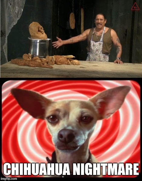 Machete cooks! | CHIHUAHUA NIGHTMARE | image tagged in funny dog,funny memes | made w/ Imgflip meme maker