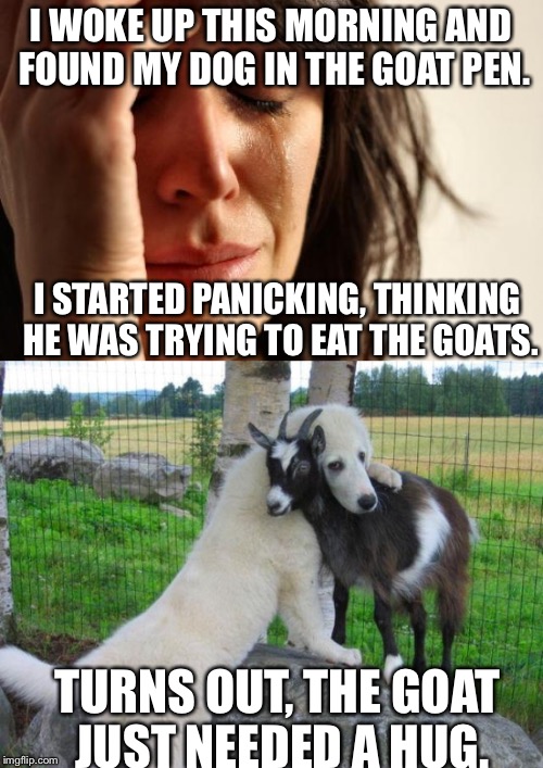 This dog can comfort goats better than I can comfort people! | I WOKE UP THIS MORNING AND FOUND MY DOG IN THE GOAT PEN. I STARTED PANICKING, THINKING HE WAS TRYING TO EAT THE GOATS. TURNS OUT, THE GOAT JUST NEEDED A HUG. | image tagged in meme,hug,dog and goat,dog hugging goat,adorable | made w/ Imgflip meme maker