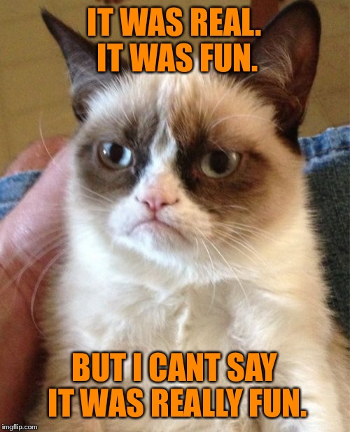 Grumpy Cat Meme | IT WAS REAL. IT WAS FUN. BUT I CANT SAY IT WAS REALLY FUN. | image tagged in memes,grumpy cat | made w/ Imgflip meme maker