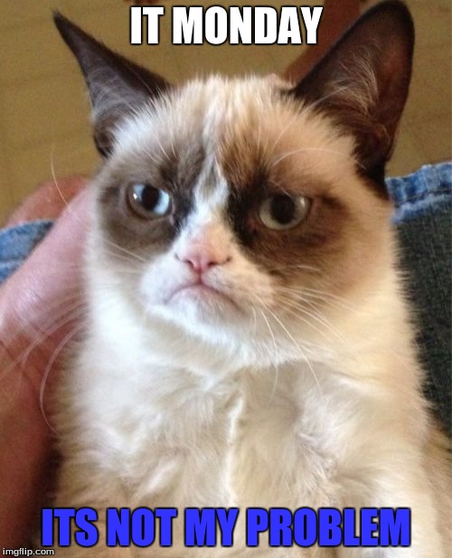 Grumpy Cat Meme | IT MONDAY; ITS NOT MY PROBLEM | image tagged in memes,grumpy cat | made w/ Imgflip meme maker