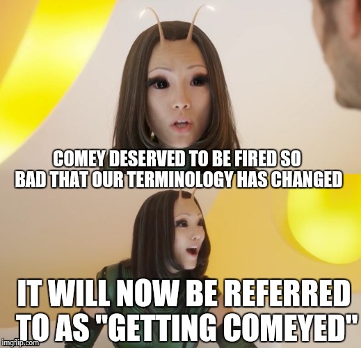 COMEY DESERVED TO BE FIRED SO BAD THAT OUR TERMINOLOGY HAS CHANGED IT WILL NOW BE REFERRED TO AS "GETTING COMEYED" | image tagged in bad pun mantis | made w/ Imgflip meme maker