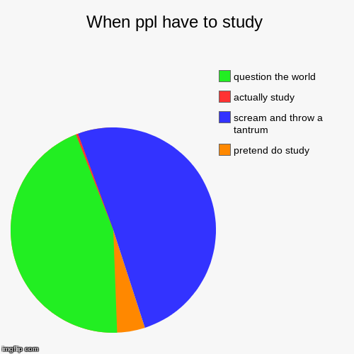 THIS IS ME | image tagged in funny,pie charts | made w/ Imgflip chart maker