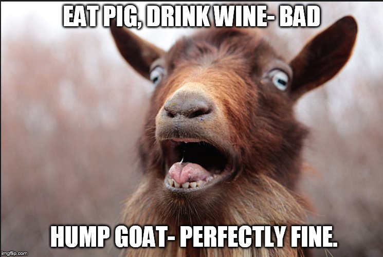 EAT PIG, DRINK WINE- BAD; HUMP GOAT- PERFECTLY FINE. | image tagged in goat humpers,muslims,pig | made w/ Imgflip meme maker