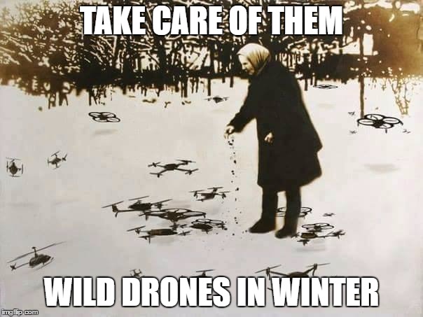 Take care of wild drones in winter! | TAKE CARE OF THEM; WILD DRONES IN WINTER | image tagged in babushka and wild drones | made w/ Imgflip meme maker