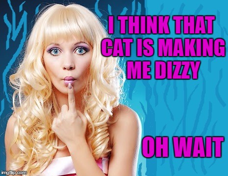 ditzy blonde | I THINK THAT CAT IS MAKING ME DIZZY OH WAIT | image tagged in ditzy blonde | made w/ Imgflip meme maker