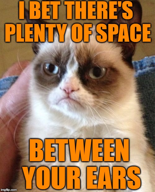 Grumpy Cat Meme | I BET THERE'S PLENTY OF SPACE BETWEEN YOUR EARS | image tagged in memes,grumpy cat | made w/ Imgflip meme maker