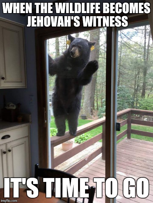 Have you heard the good news about our Trout and Savior? | WHEN THE WILDLIFE BECOMES JEHOVAH'S WITNESS; IT'S TIME TO GO | image tagged in bear at the door,memes | made w/ Imgflip meme maker