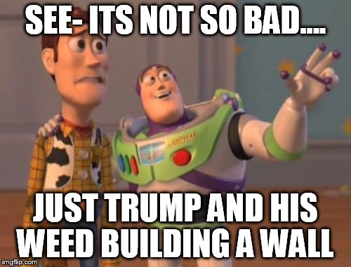 X, X Everywhere | SEE- ITS NOT SO BAD.... JUST TRUMP AND HIS WEED BUILDING A WALL | image tagged in memes,x x everywhere | made w/ Imgflip meme maker