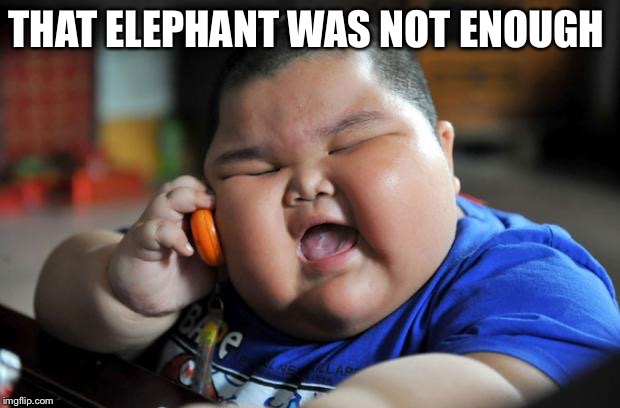 Fat Asian Kid | THAT ELEPHANT WAS NOT ENOUGH | image tagged in fat asian kid | made w/ Imgflip meme maker