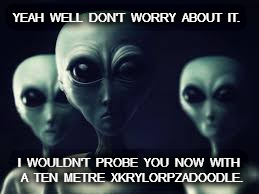 Aliens | YEAH  WELL  DON'T  WORRY  ABOUT  IT. I  WOULDN'T  PROBE  YOU  NOW  WITH  A  TEN  METRE  XKRYLORPZADOODLE. | image tagged in alien xkrylorpzadoodle | made w/ Imgflip meme maker