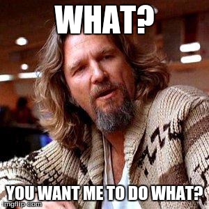 The Dude | WHAT? YOU WANT ME TO DO WHAT? | image tagged in the dude | made w/ Imgflip meme maker