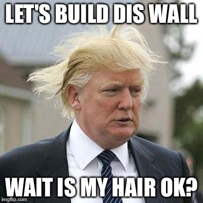 Donald Trump | LET'S BUILD DIS WALL; WAIT IS MY HAIR OK? | image tagged in donald trump | made w/ Imgflip meme maker