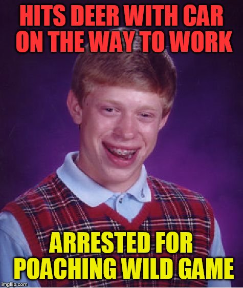 Bad Luck Brian | HITS DEER WITH CAR ON THE WAY TO WORK; ARRESTED FOR POACHING WILD GAME | image tagged in memes,bad luck brian | made w/ Imgflip meme maker