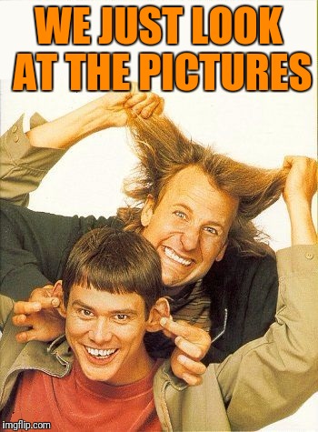 DUMB and dumber | WE JUST LOOK AT THE PICTURES | image tagged in dumb and dumber | made w/ Imgflip meme maker